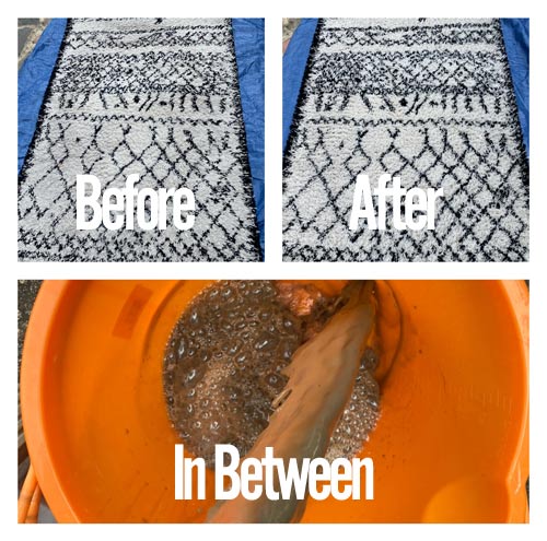 Rug Cleaning Specialists London