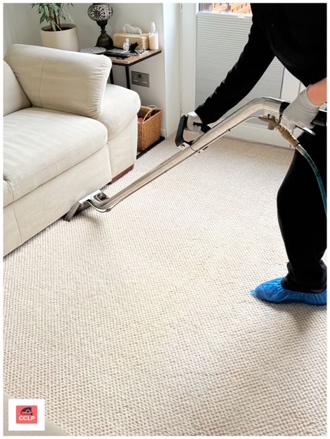 Carpet cleaning technician using extraction machine in Soho W1