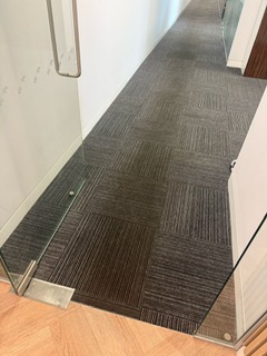 Heavy foot traffic carpet damage in King’s Cross N1 flat

