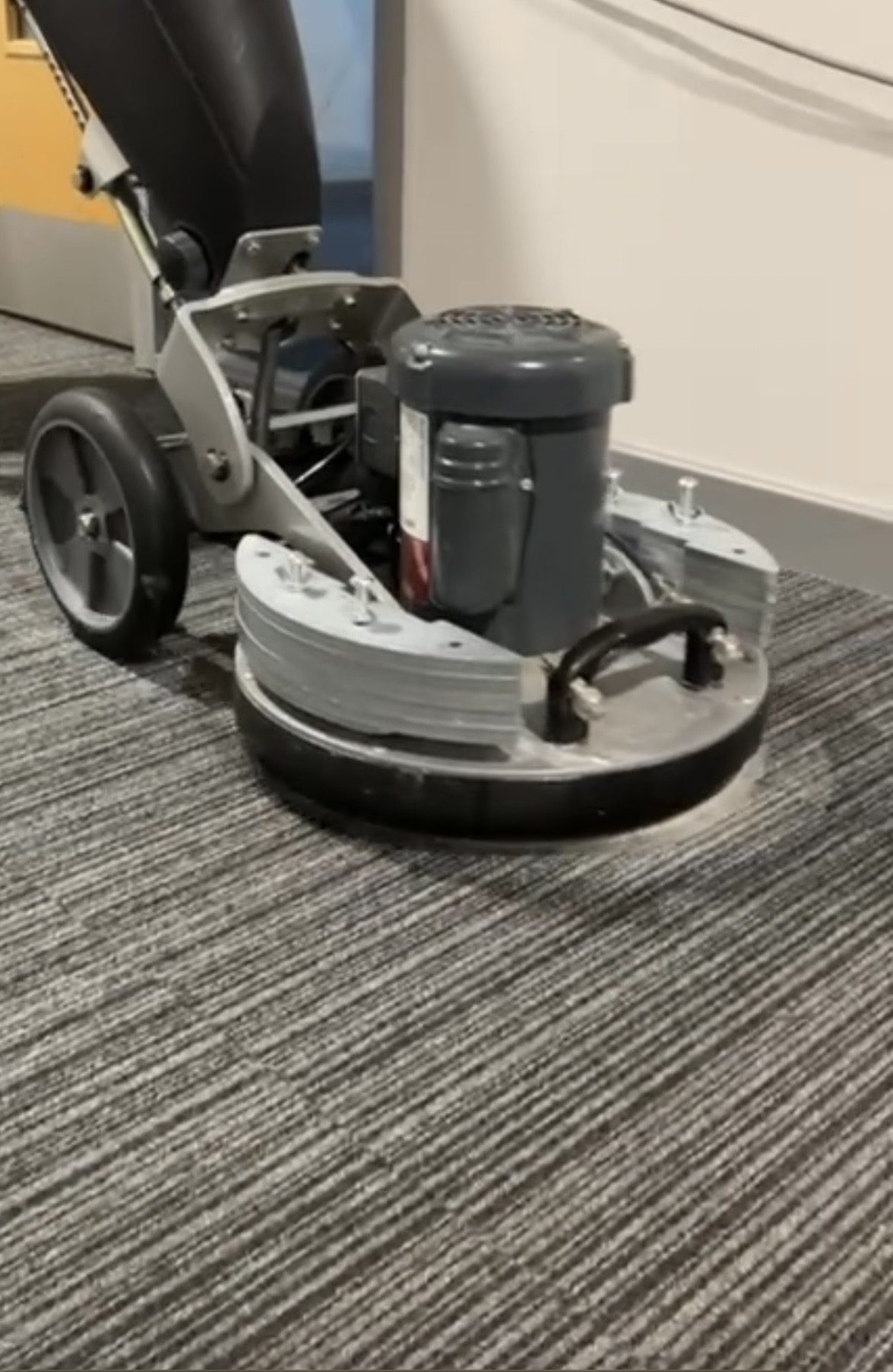 Professional carpet cleaning service in London