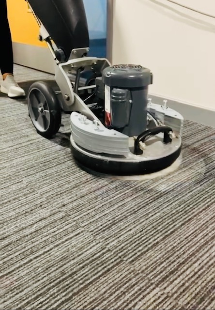 Office Carpet Cleaning