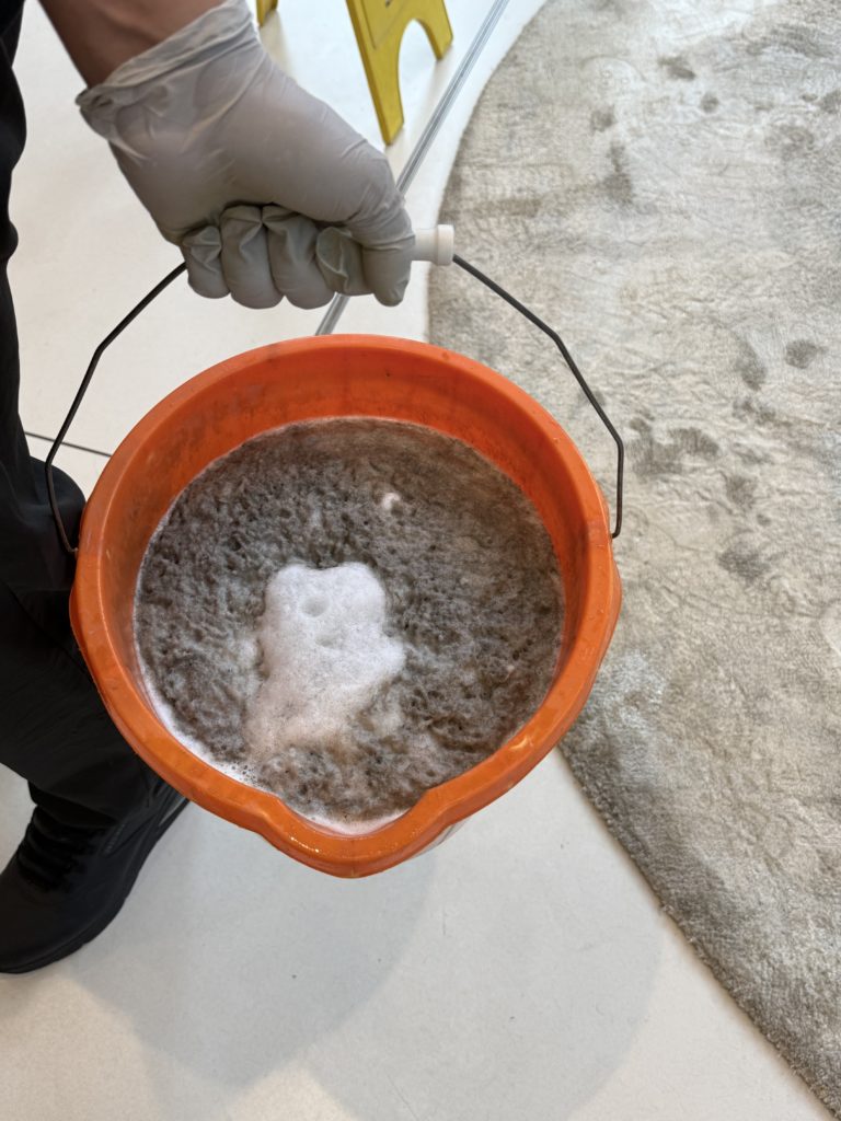 Dirty water extracted from carpet during professional deep cleaning in London