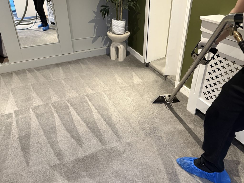 Professional carpet cleaning results in Pimlico SW1 with fresh clean finish and extraction method