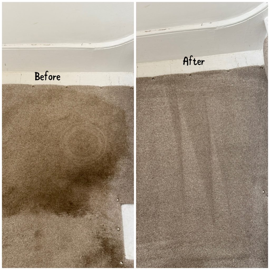 Carpet Cleaning London Before After 3