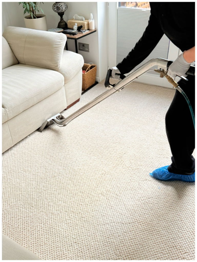 Professional carpet cleaning in New Eltham using hot water extraction equipment in a residential home