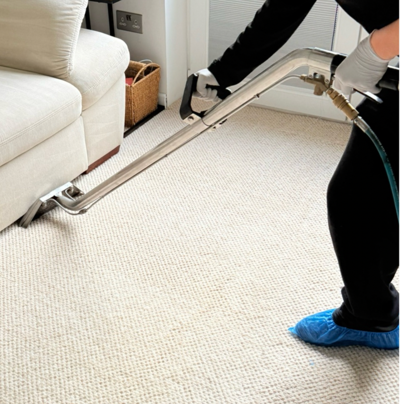 Professional carpet cleaning service in London using hot water extraction equipment